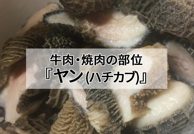 牛肉(焼肉)の部位『ヤン (ハチカブ)』どこの部位?ヤンは焼き方にコツがあります - 肉専門サイト『にくらぶ』